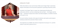 Dragon Tiger Evolution Gaming