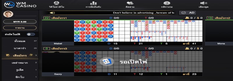 เสือมังกร wm casino